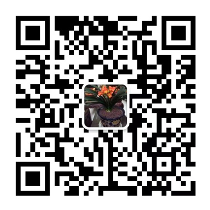 業務咨詢